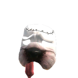 Boo!