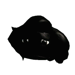Boo!